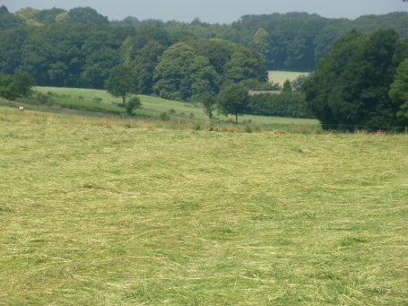 Groesbeek NL : Landschaft in Berg en Dal